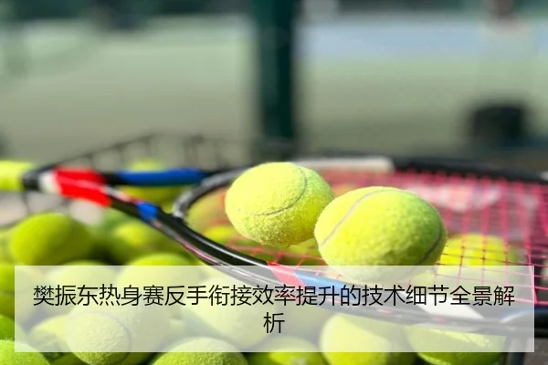 樊振东热身赛反手衔接效率提升的技术细节全景解析