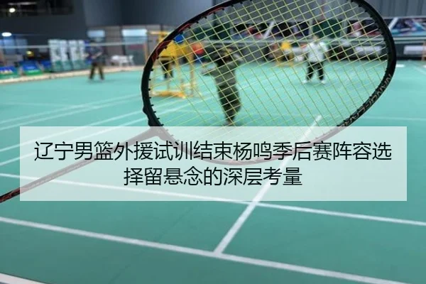辽宁男篮外援试训结束杨鸣季后赛阵容选择留悬念的深层考量